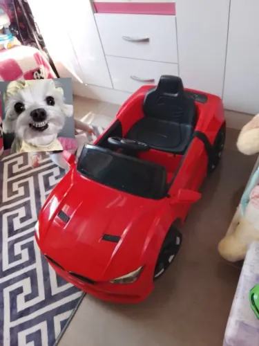Carrinho elétrico