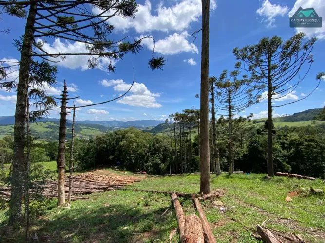 Sítio à Venda