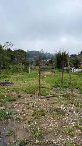 Terreno no Jd Brasil 2 Rua 5 Palmeiras Suzano
