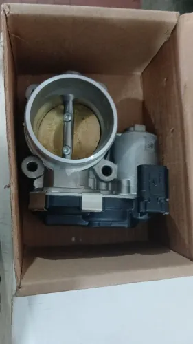 Corpo de borboleta