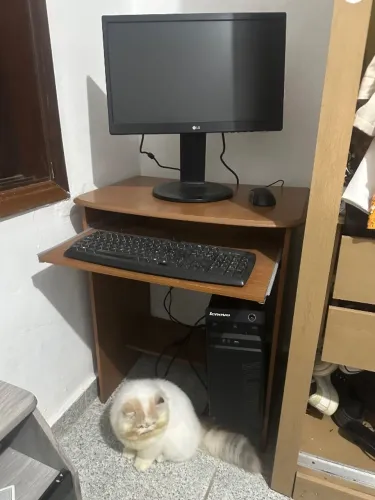 Computador Gabinete Lenovo + Monitor LG + Escrivaninha