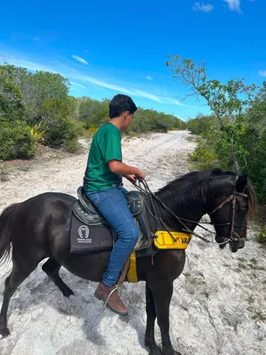 Vendo cavalo de. Montada