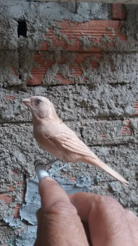 Esculturas de pássaros feitos de madeira por encomenda e envio para todo Brasil pelos Corr