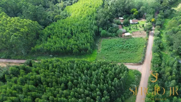 Área de terra com 1ha e mato de eucalipto em Triunfo