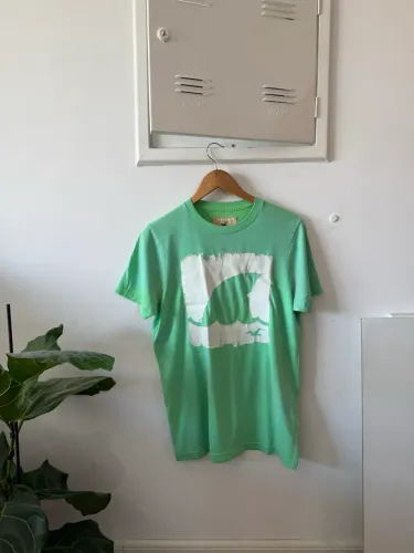 Camiseta HOLLISTER Original