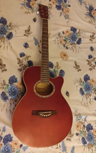 Violão Giannini 