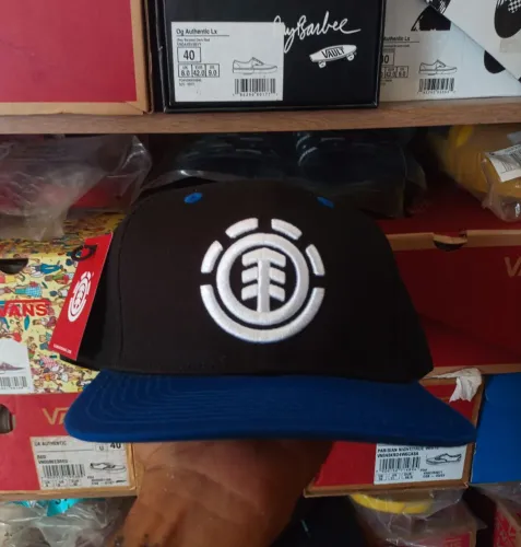Boné Element Skateboards