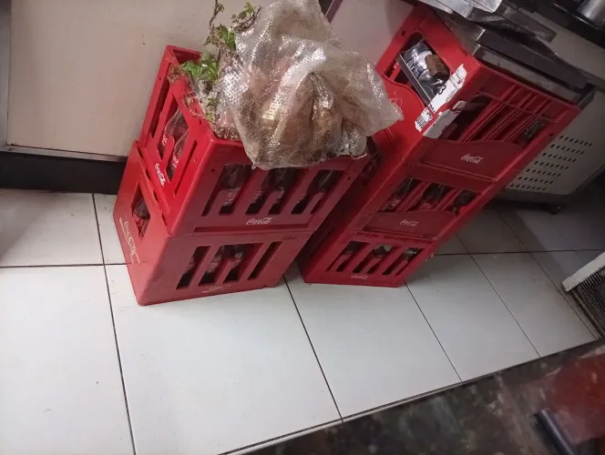 Vasilhames retornável KS 10 cx 1 cx de um litro e tenho umas. Avulsa 8 unidades no total 1