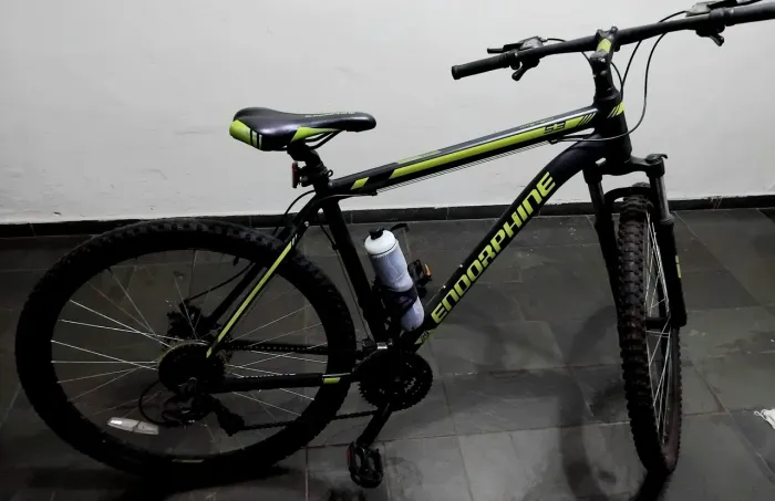 Bicicleta ENDORPHINE, ARO 29, 24 MARCHAS