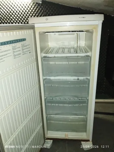 Vendo freezer Electrolux