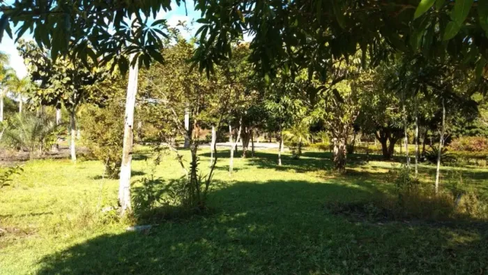 AREA COM 60.000M² DENTRO DO CONDOMINIO ENTRE LAGOS NO DF