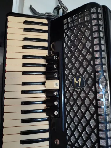 Vende-se Sanfona Michael