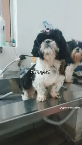 Doação 