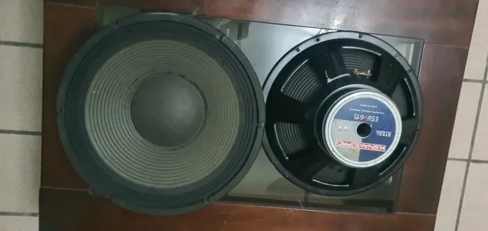 Woofer 15 polegadas SNAKE - ESV 615
