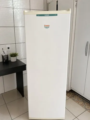Freezer vertical