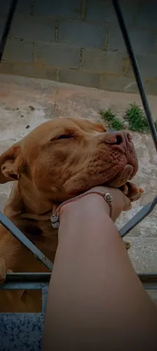 Doação