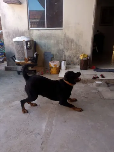 doação responsável 