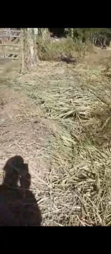 Terreno situado em Registro,no jardim Ribeirão Branco
