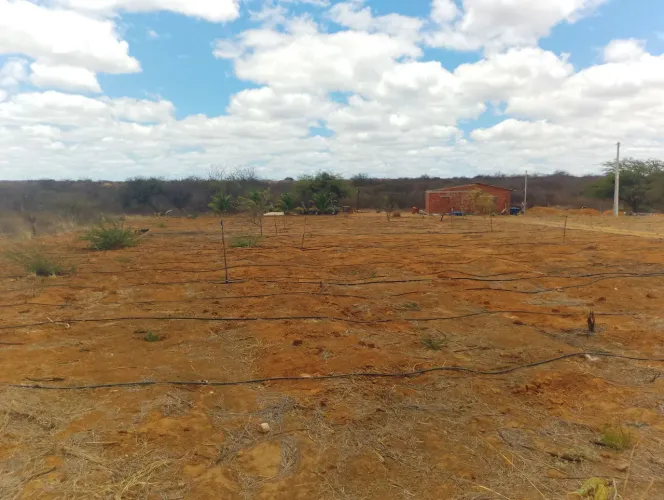 Roça à venda 2,4 hectares com documentação completa