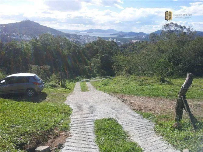 Lindo terreno no Pantanal!