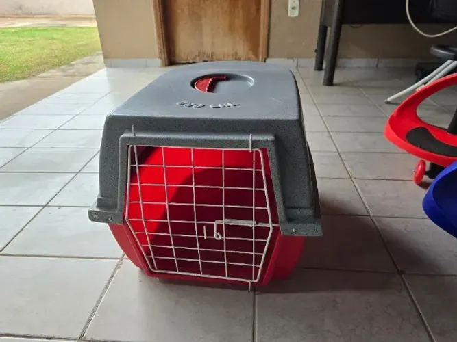 Caixa transporte cachorro