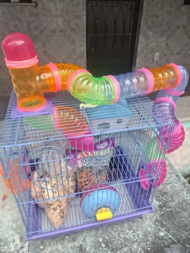 Gaiola para hamster