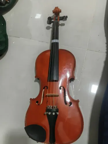 Violino