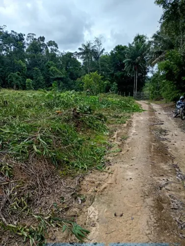 Contrato operador de roçadeira e motor serra.