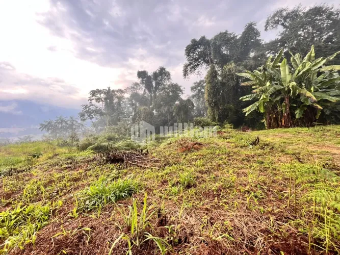 Terreno à venda em Brusque - Bairro Guarani, em Loteamento de Alto Padrão, 345m² de área
