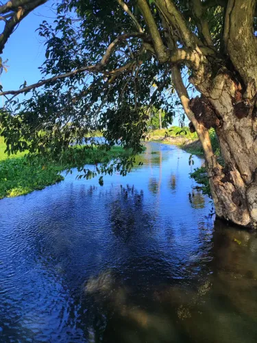 fazenda com 72 hectares com duas riqueza naturais água e diatomita