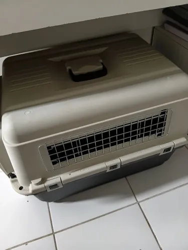 Caixa de pet