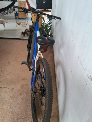 Bicicleta Coli