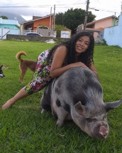 Vende-se porco bem gordo