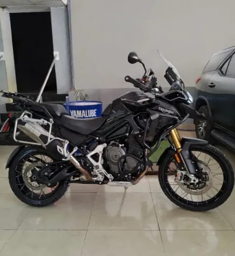 ´TRIUMPH BLACK EDITION 2026/2026 REVISADA ZERADA