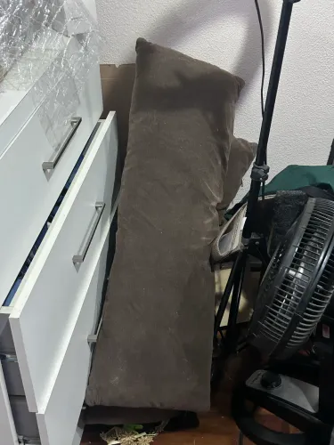 Doação de 2  almofadas pra sofá 