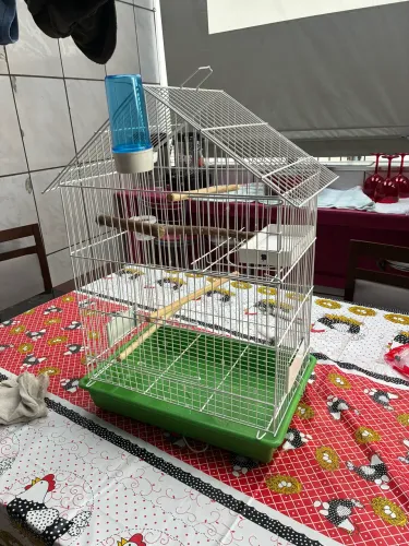 GAIOLA PARA PÁSSAROS
