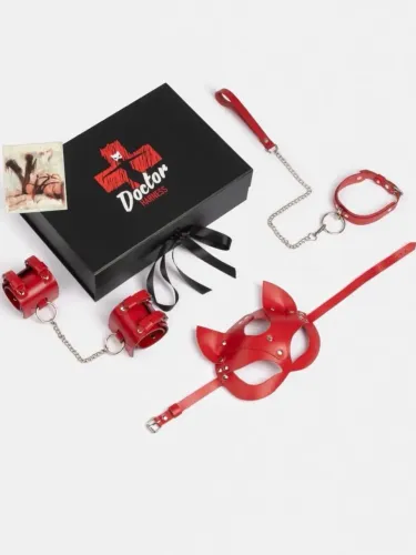 kit harness em couro dr.harness importado | completo | semi-novo