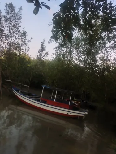 Vendo Barco