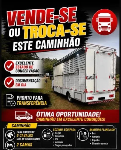 caminhao motorhome