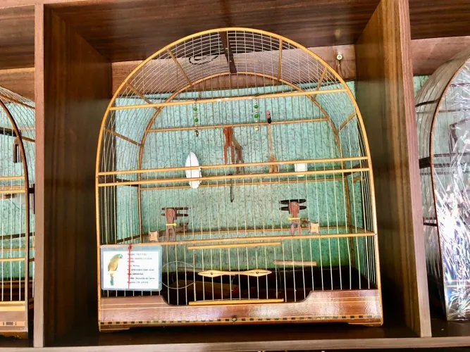 Gaiolas para Curió e Bicudos