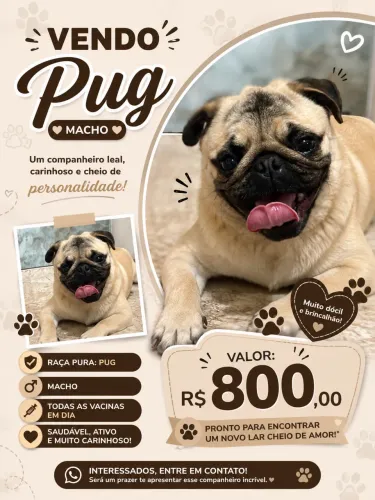 PUG