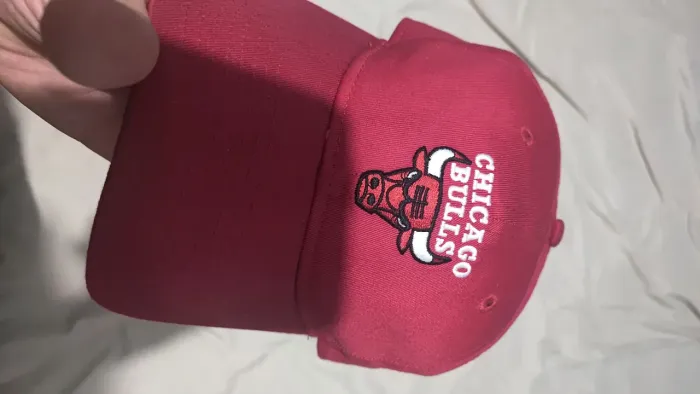 Bone Chicago bulls oficial