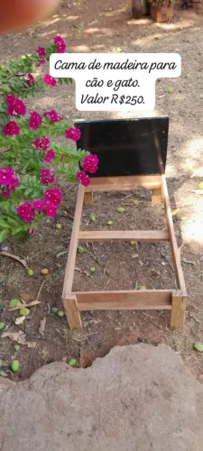 Cão e gato cama de madeira
