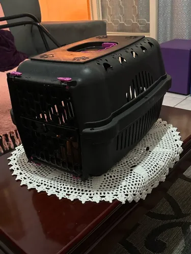 Caixa de transporte para pet 02
