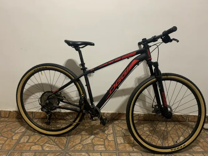Bike Oggi aro 29