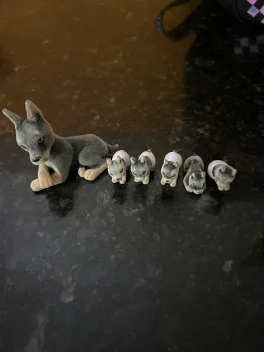 Mini cachorrinhos