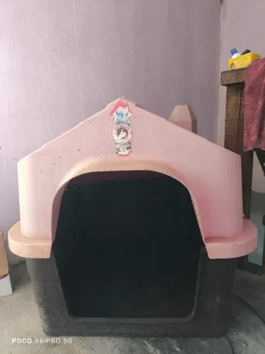 Casa de cachorro grande, paguei 750$