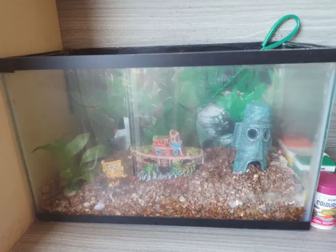 Aquário 20 litros