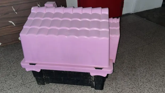 Casinha para Pet - Conforto e Proteção para seu Melhor Amigo!