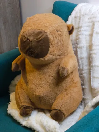 Capivara pelúcia grande. PROMOÇÃO!!! 